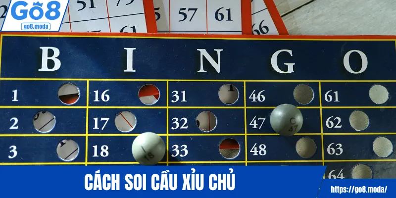 Cách soi cầu xỉu chủ