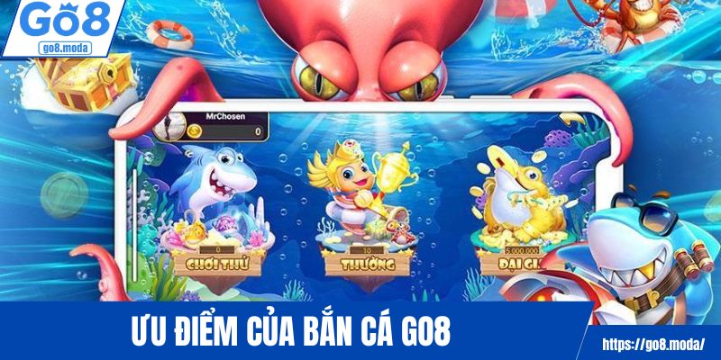  Những ưu thế tuyệt vời dành cho thành viên